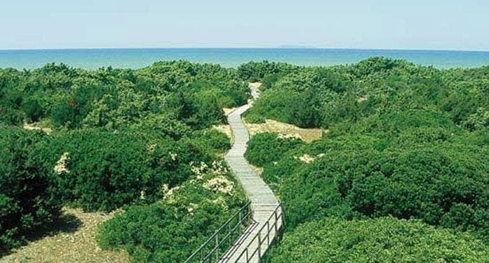 Lesina Lagoon protected wetlands
