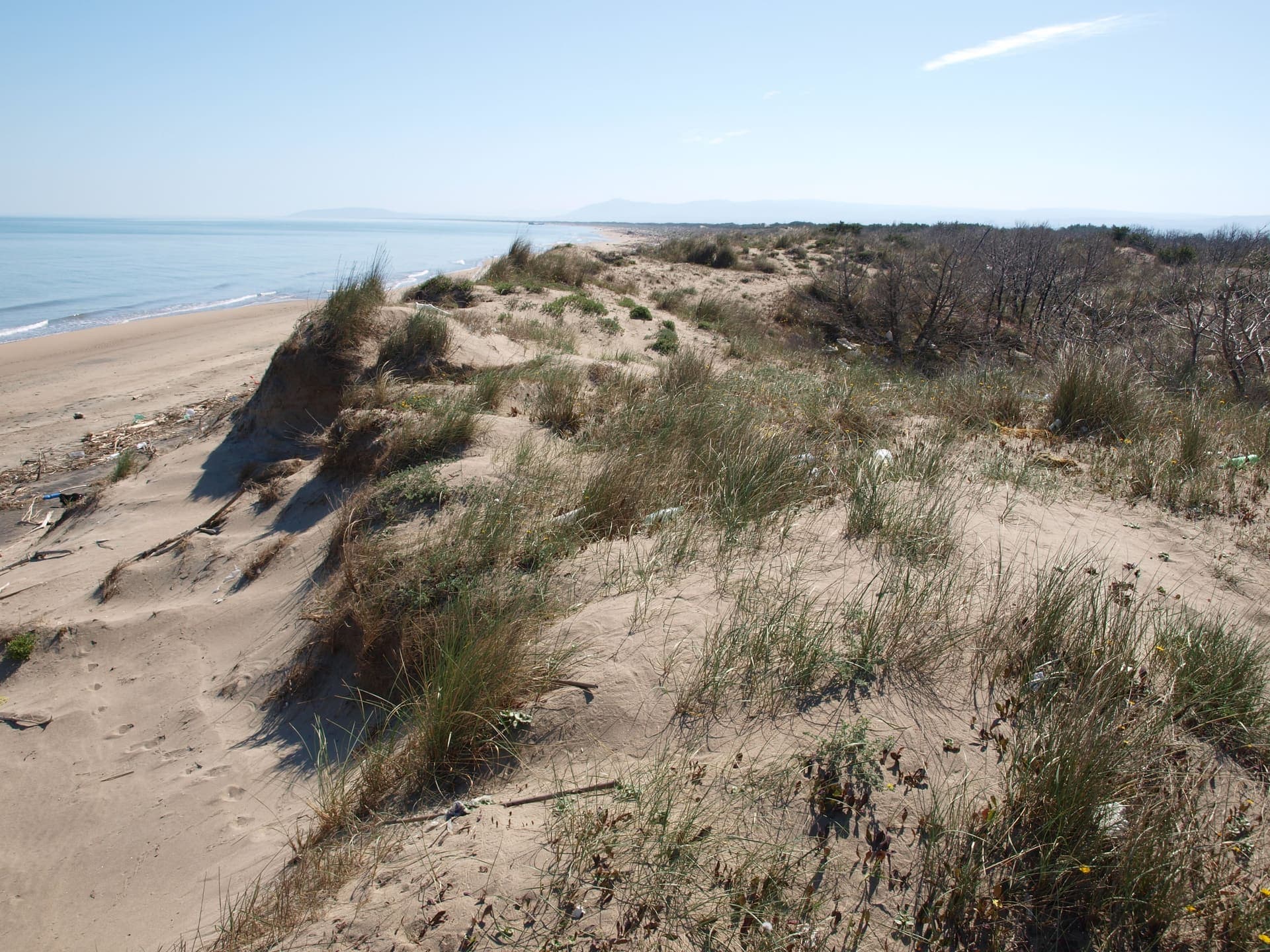 Wide sandy beach at Marina di Lesina