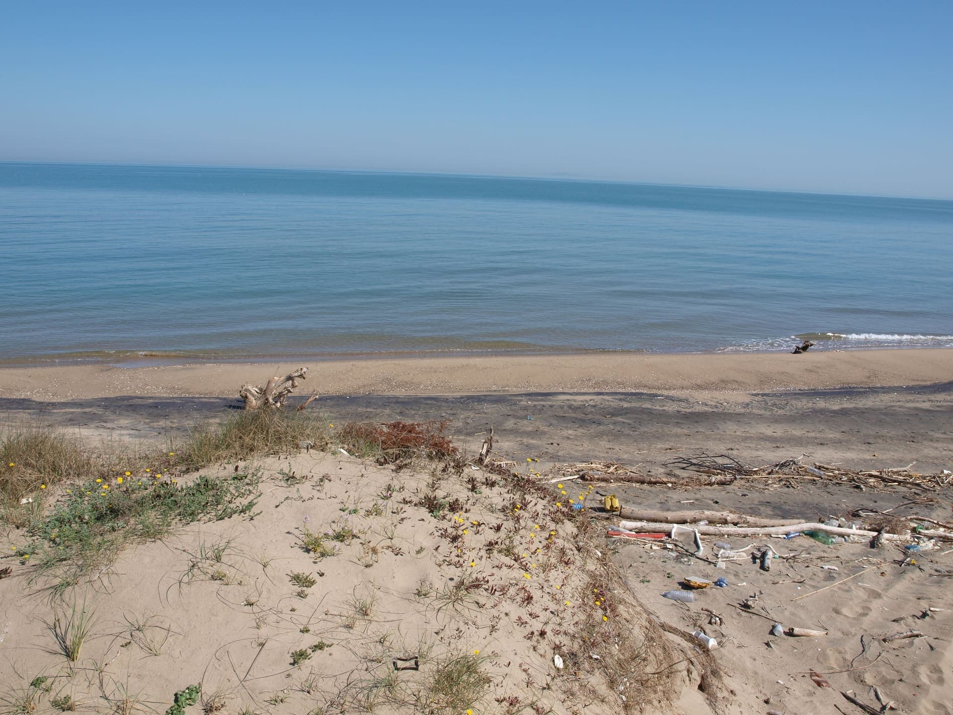 Wide sandy beach at Marina di Lesina