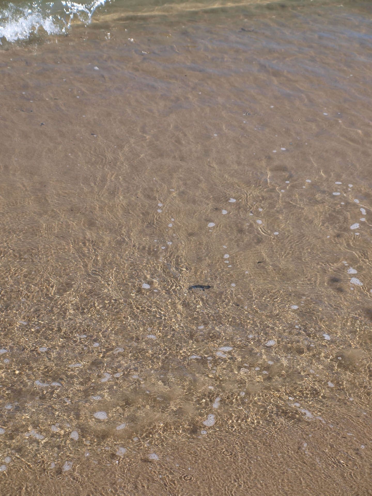 Wide sandy beach at Marina di Lesina