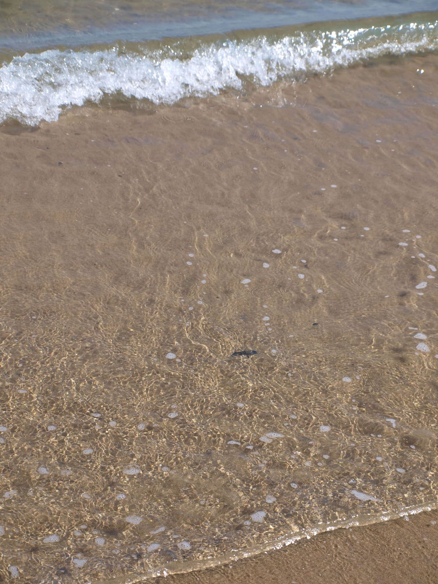 Wide sandy beach at Marina di Lesina