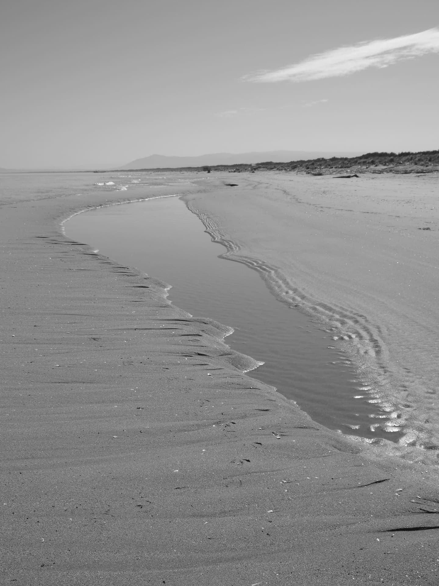 Wide sandy beach at Marina di Lesina