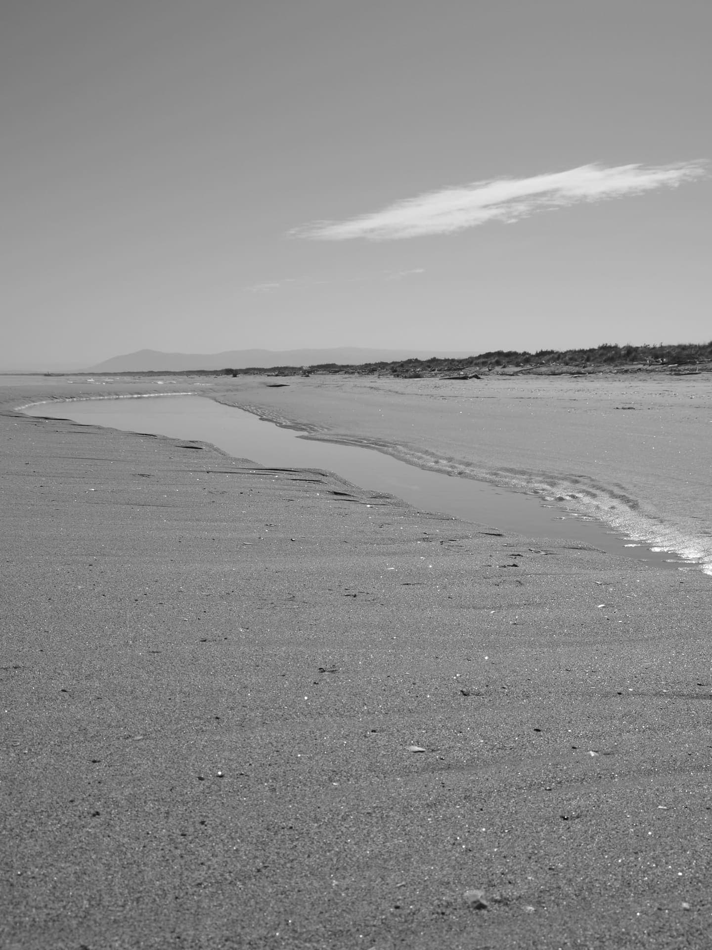 Wide sandy beach at Marina di Lesina