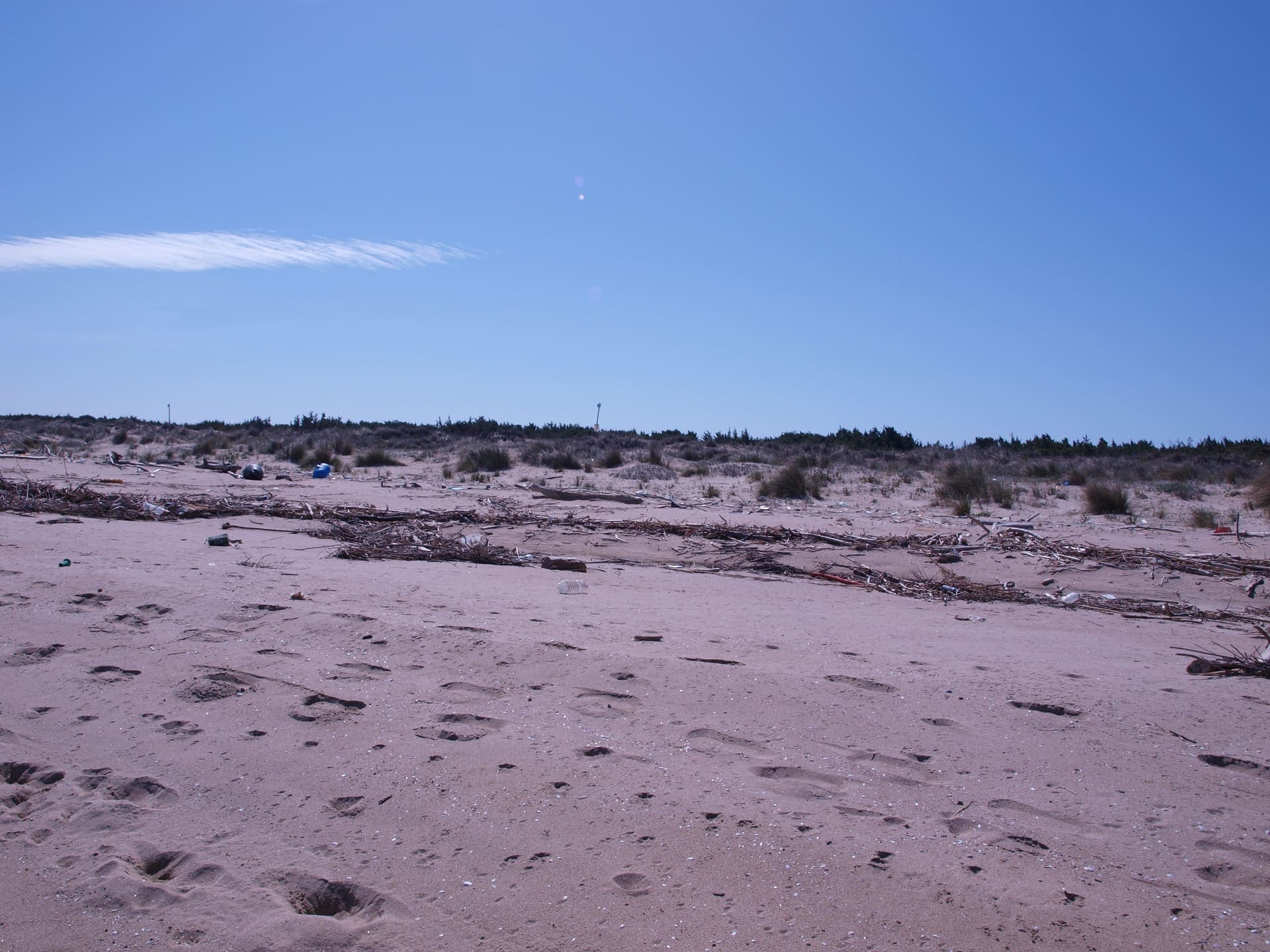 Wide sandy beach at Marina di Lesina