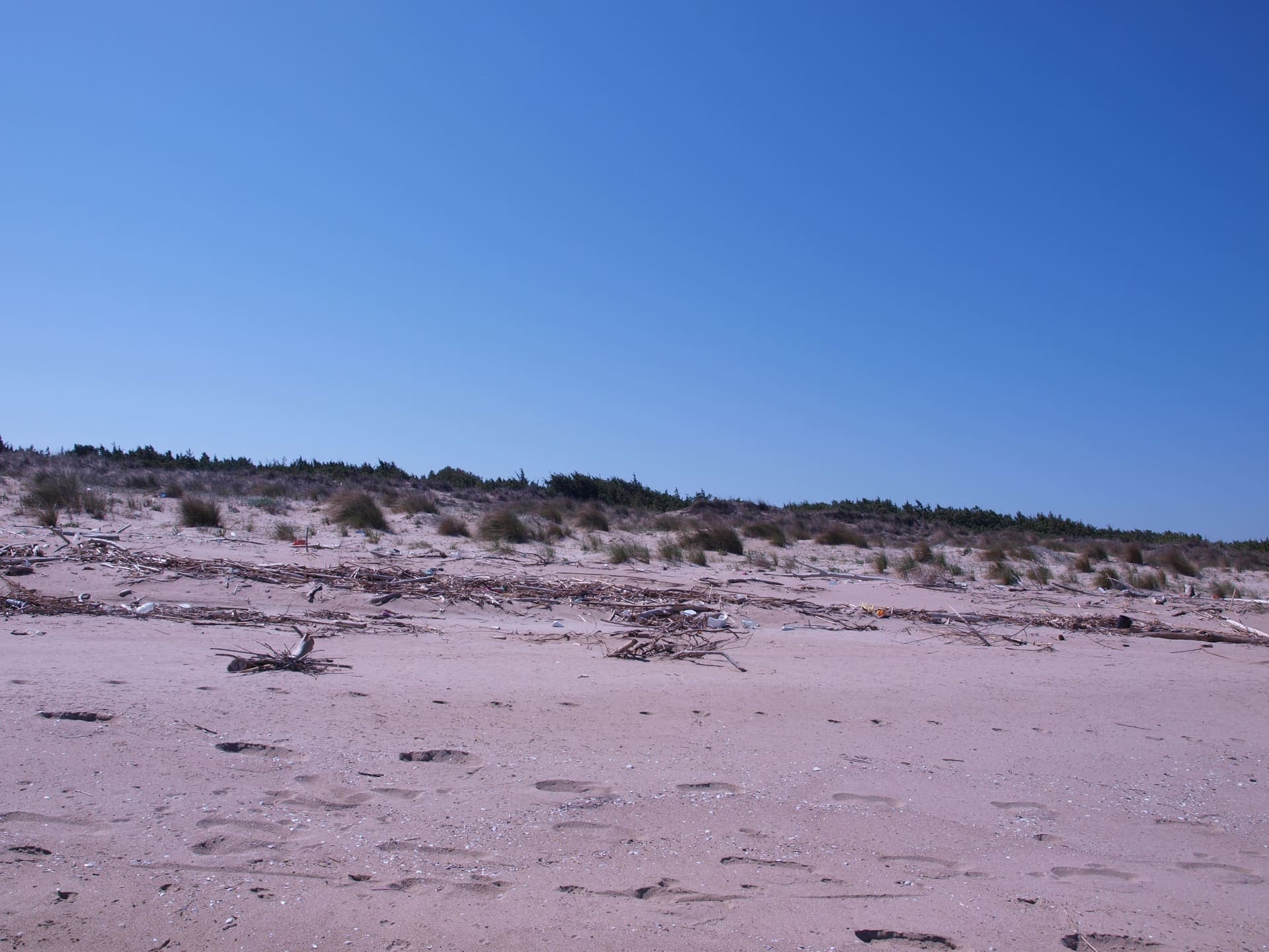 Wide sandy beach at Marina di Lesina