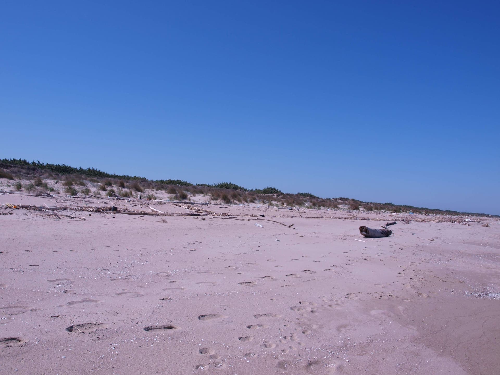 Wide sandy beach at Marina di Lesina