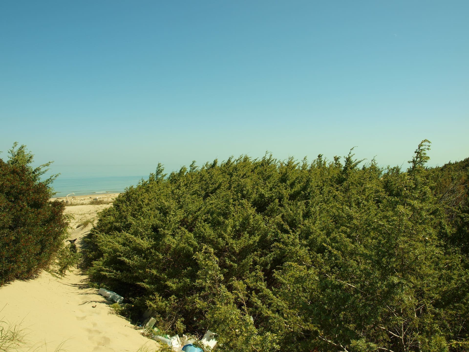 Wide sandy beach at Marina di Lesina