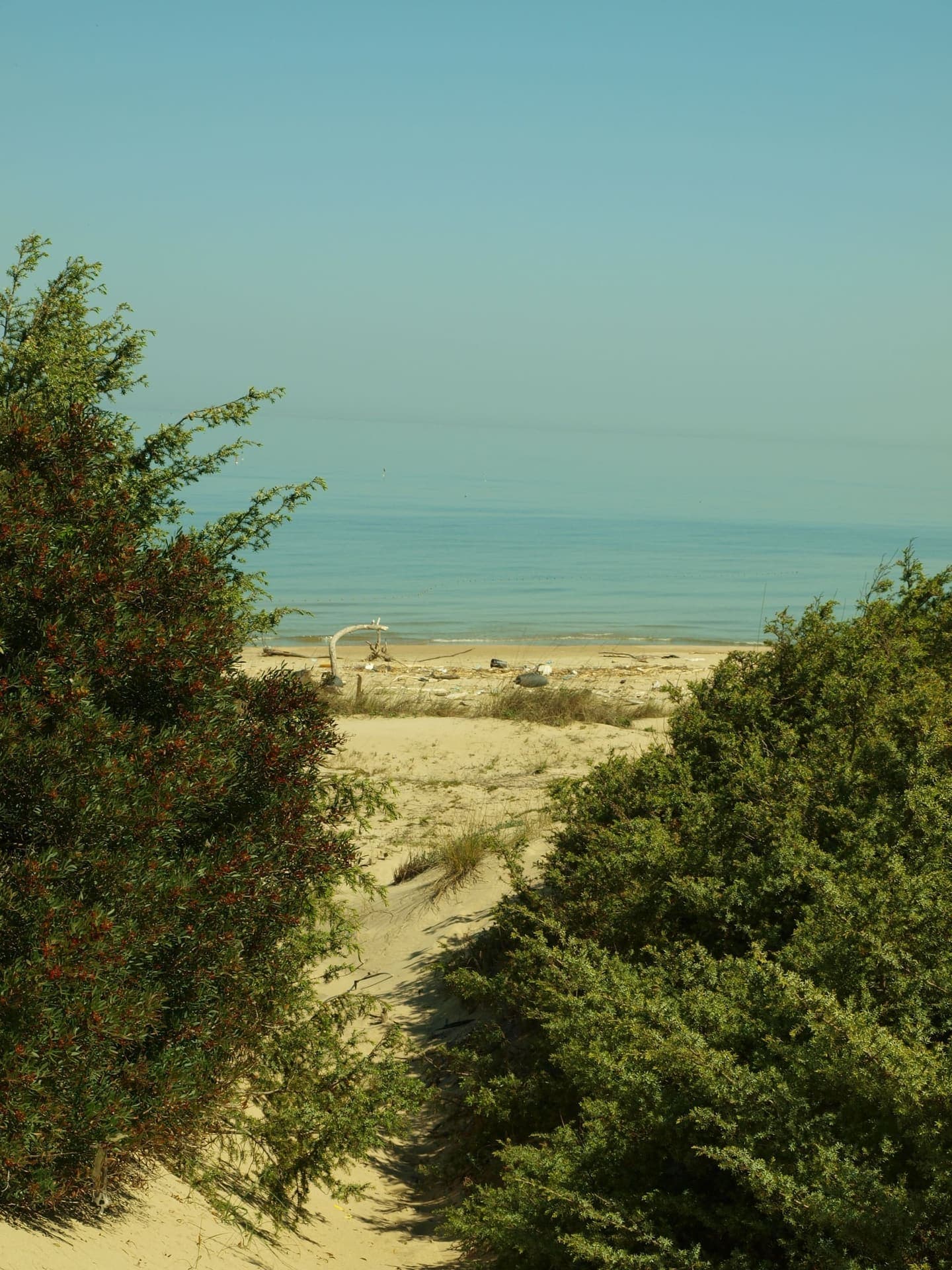 Wide sandy beach at Marina di Lesina