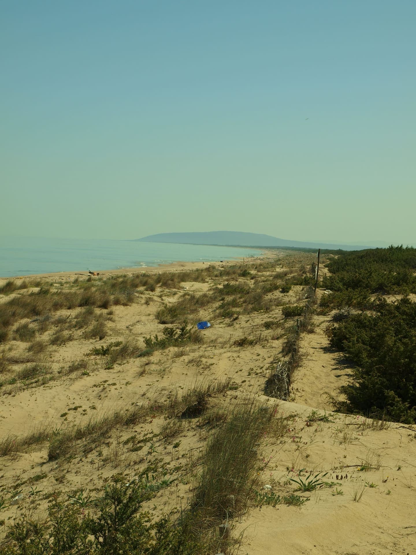 Wide sandy beach at Marina di Lesina