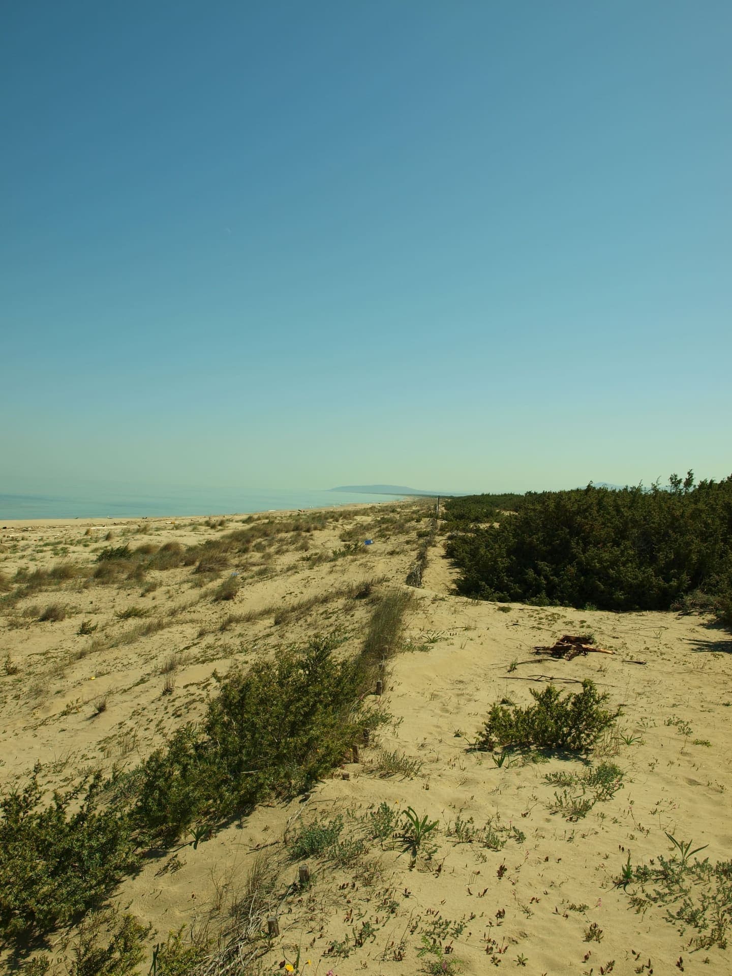 Wide sandy beach at Marina di Lesina