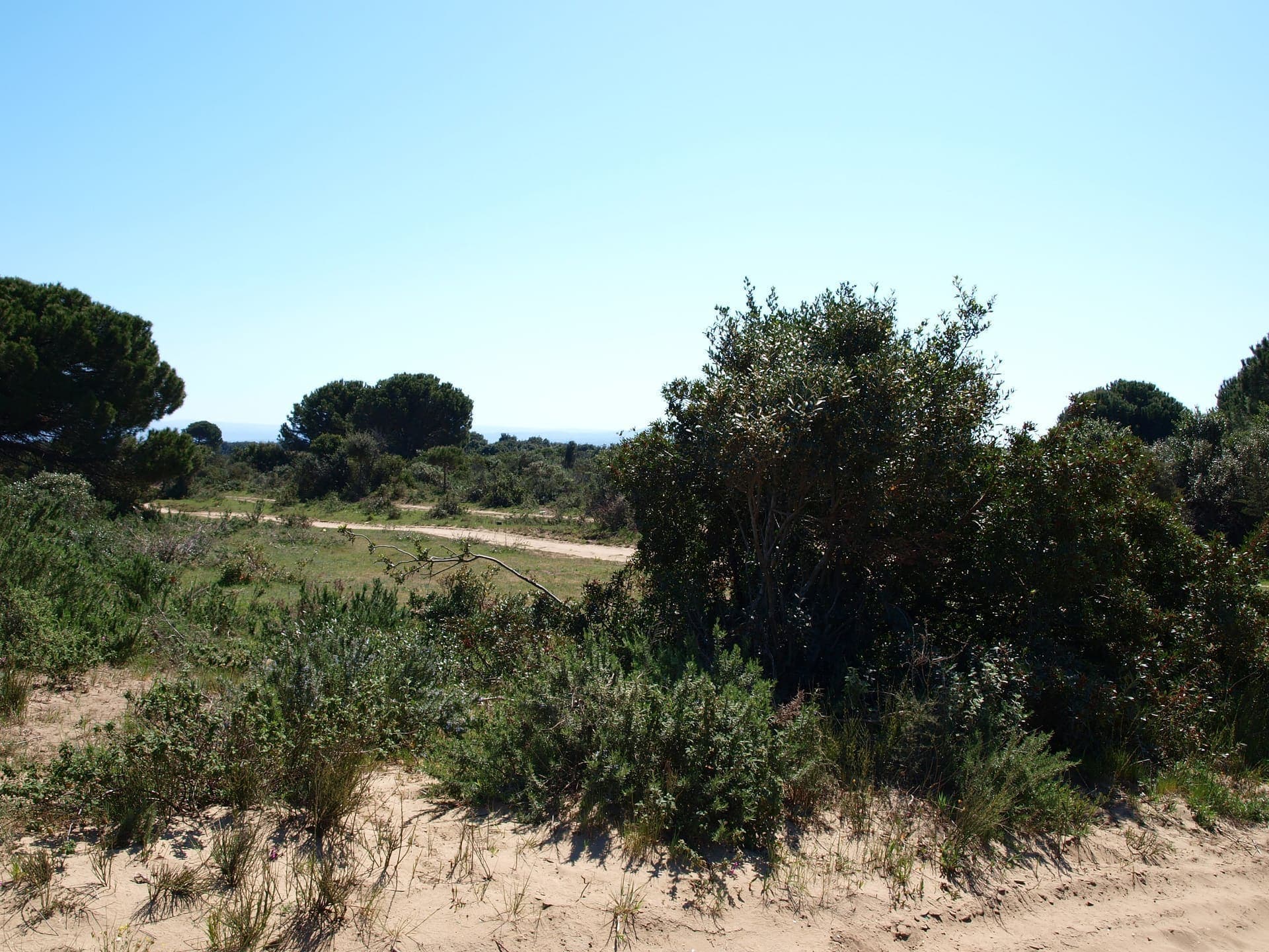 Wide sandy beach at Marina di Lesina