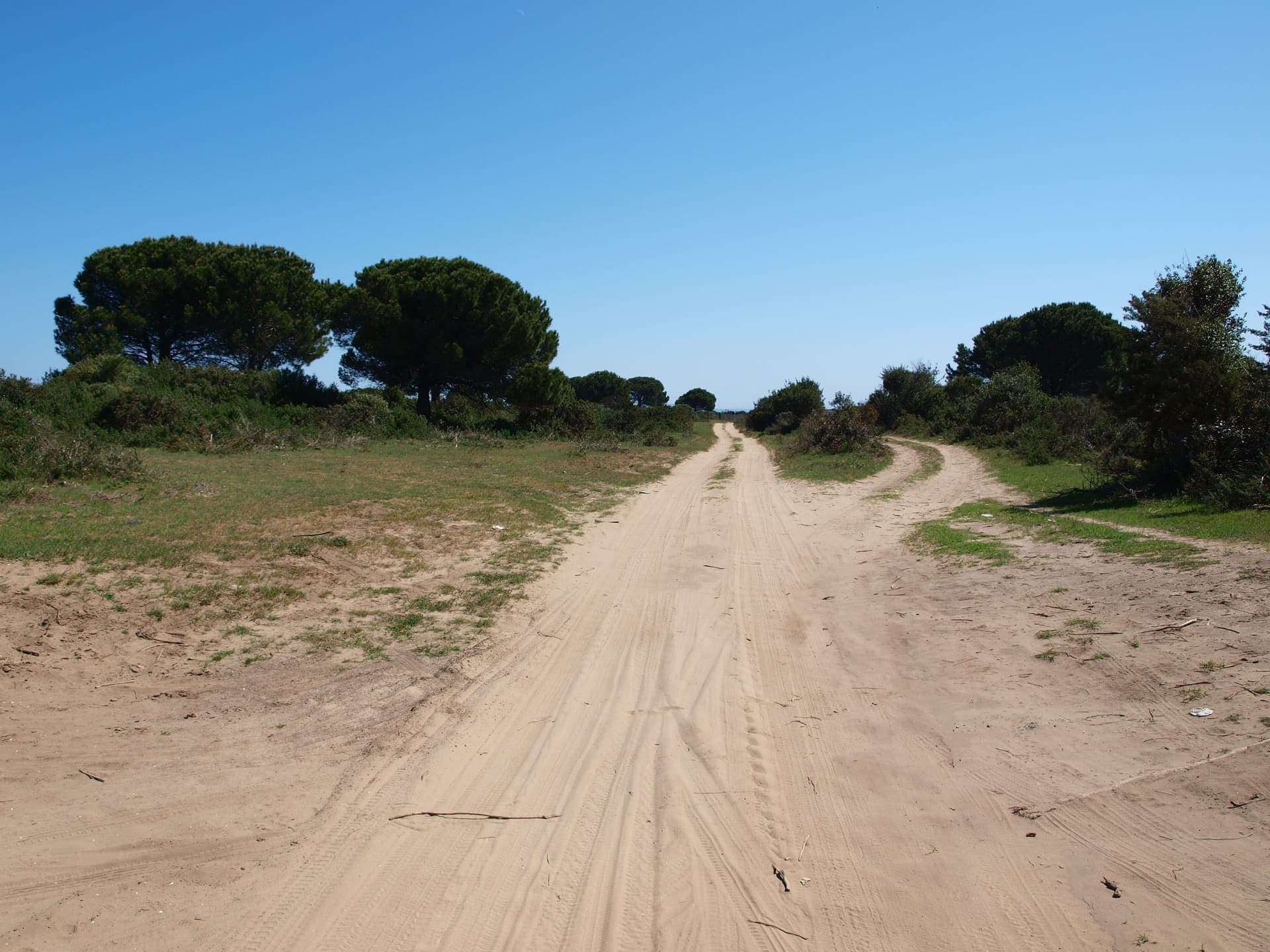 Wide sandy beach at Marina di Lesina
