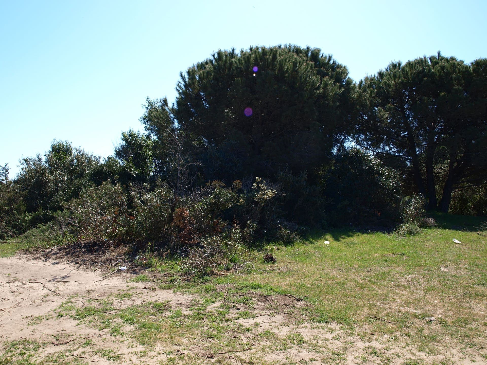 Wide sandy beach at Marina di Lesina