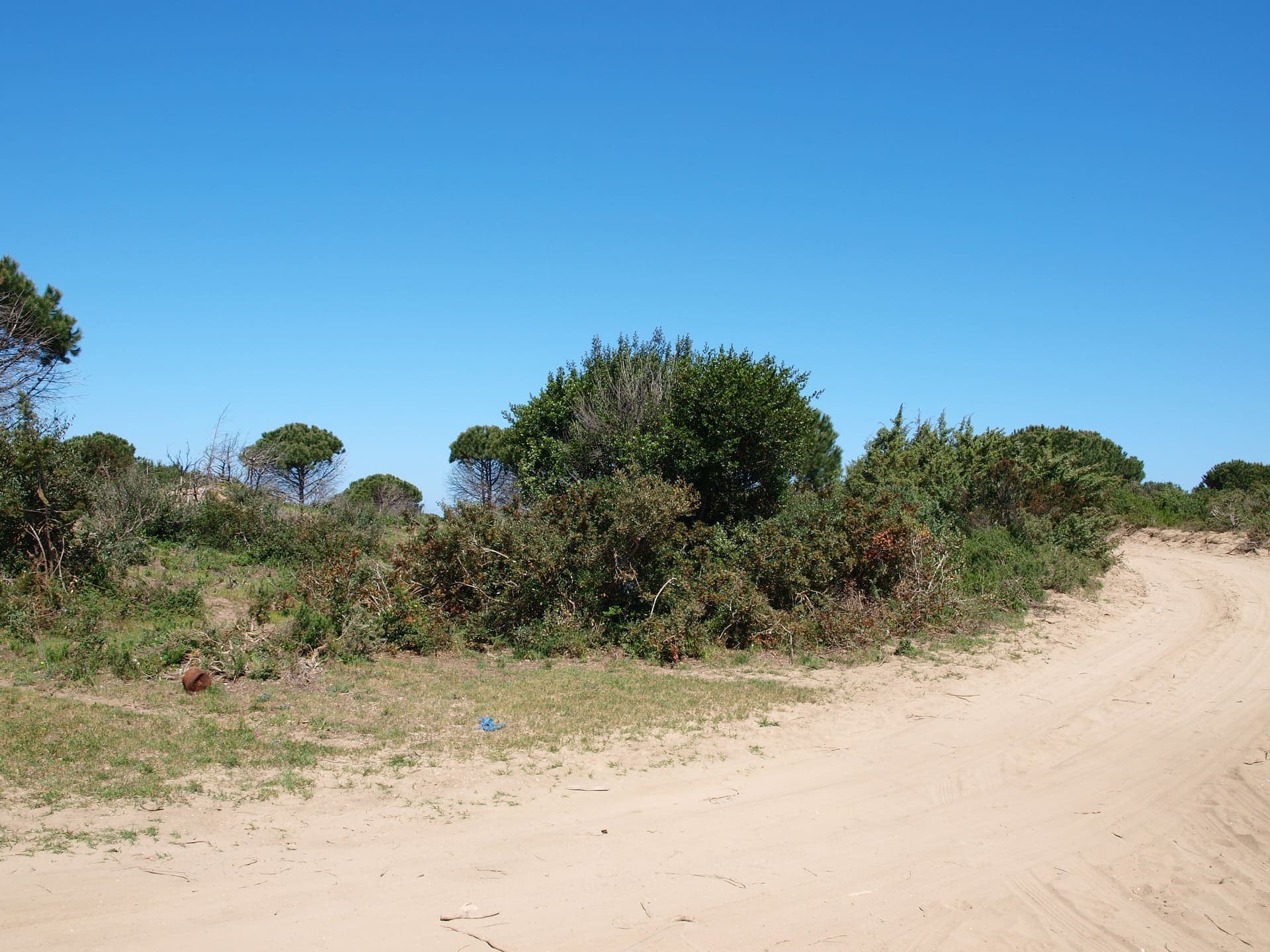 Wide sandy beach at Marina di Lesina