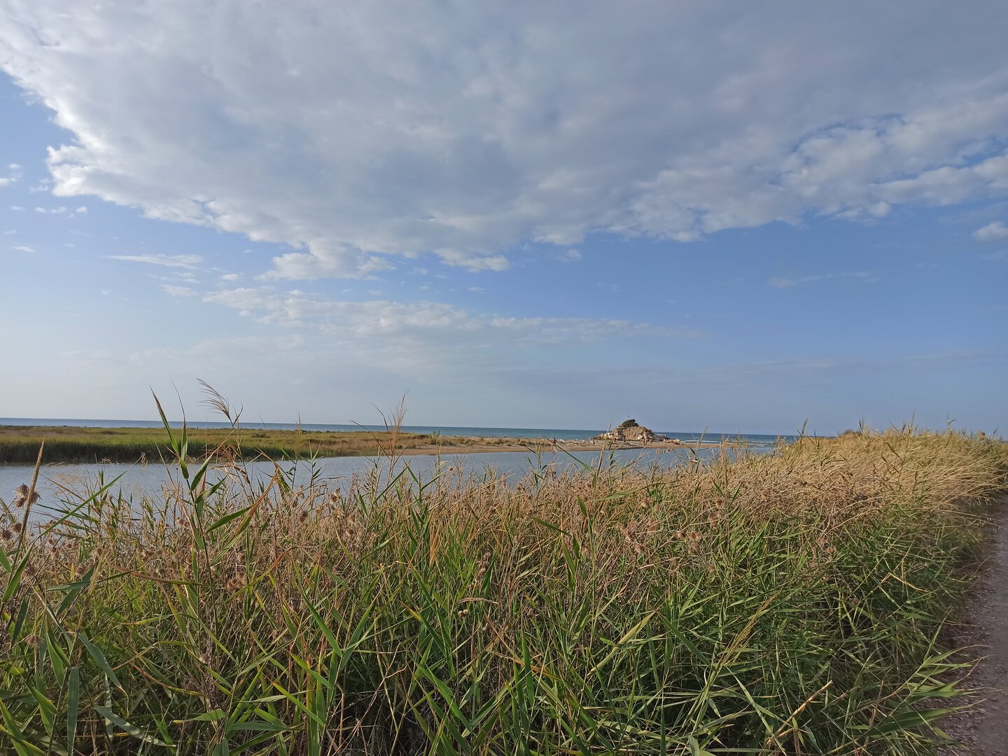 Laguna di Lesina con canneti