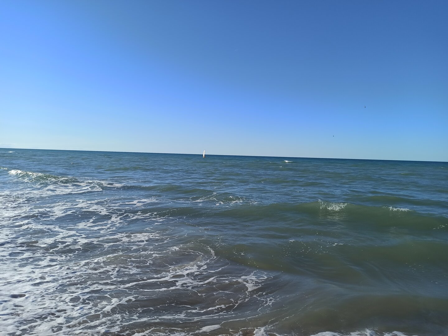 Mare cristallino di Marina di Lesina